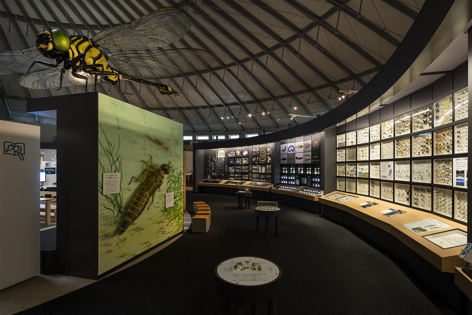 滋賀県立琵琶湖博物館